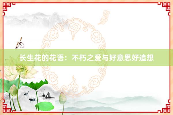 长生花的花语：不朽之爱与好意思好追想